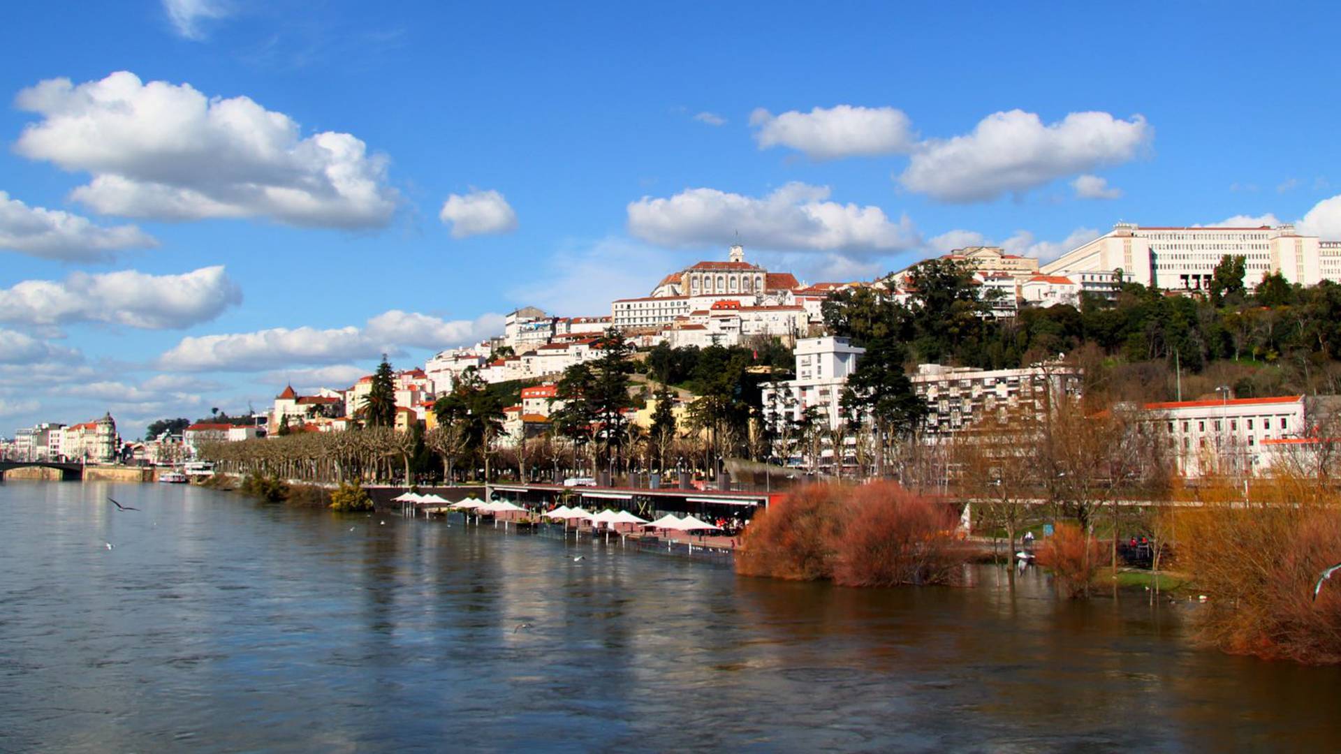 Coimbra Hoteis Alexandre Almeida