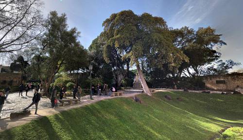 Garden of the castle of são jorge  Métropole Hotel Lisbon