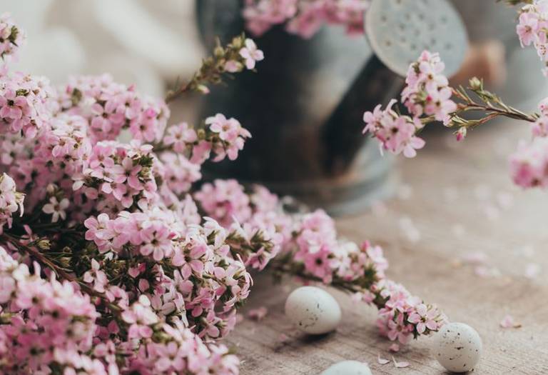 Sweet Easter Hoteis Alexandre Almeida Sweet Easter Hoteis Alexandre Almeida