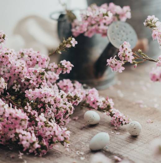 Sweet easter Curia Palace Hotel Coimbra Sweet easter Curia Palace Hotel Coimbra
