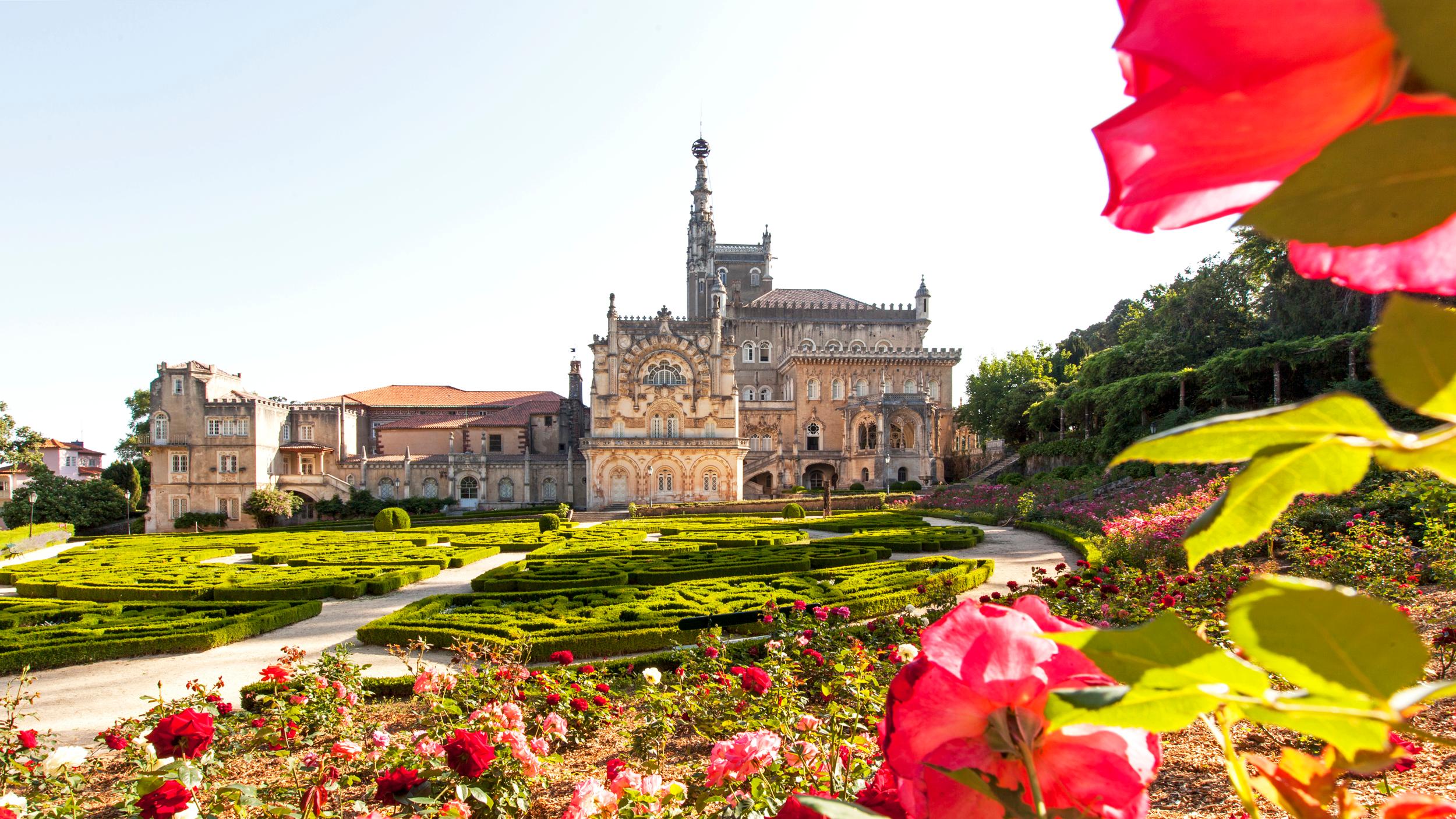 Palace Hotel Bussaco  Palace Hotel Bussaco Coimbra
